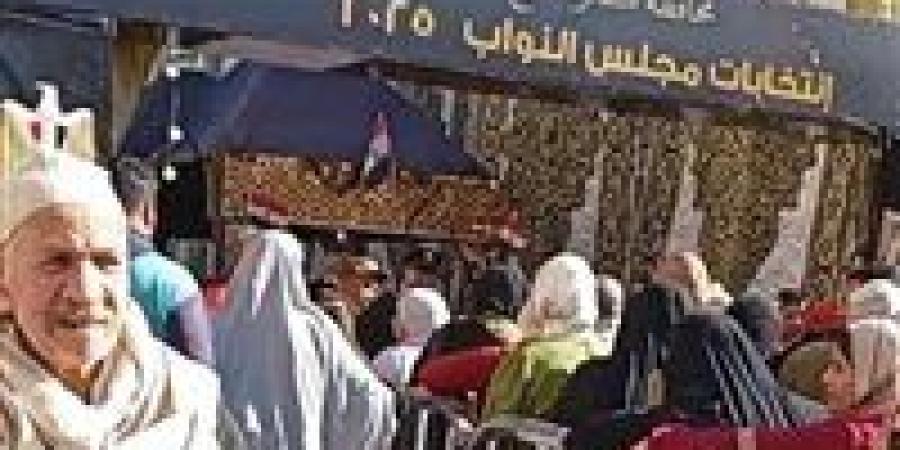 إقبال كثيف على لجان كفر الشيخ في اليوم الأول لجولة الإعادة في انتخابات مجلس النواب