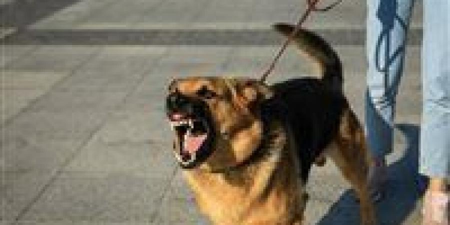 وفاة
      طفلة
      بعد
      عضة
      كلب
      رغم
      التطعيم..
      كيف
      ينتصر
      داء
      الكلب
      على
      اللقاح؟