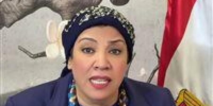 مؤشرات أولية بخسارة النائبة نشوي الديب في انتخابات النواب ٢٠٢٥ بإمبابة بالجيزة