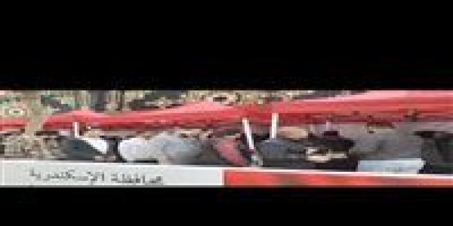 إقبال واسع بدائرة أول الرمل بالإسكندرية في اليوم الثاني لجولة الإعادة بانتخابات النواب