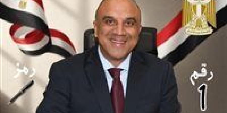 مستقبل وطن يحصل على أول مقعد له في جولة الإعادة لـ 19 دائرة الملغاة بفوز مرشحه وليد المليجي