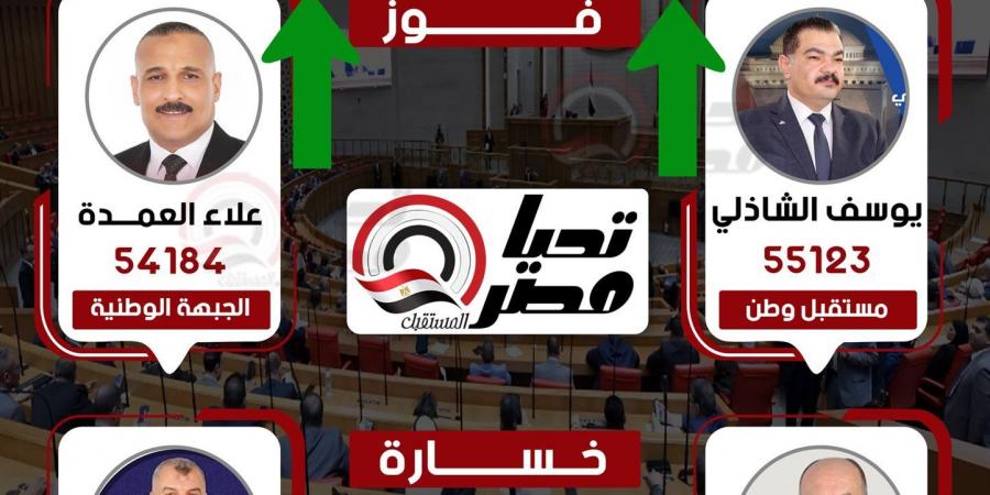 وفقا للحصر العددي.. فوز مرشحي مستقبل وطن والجبهة الوطنية بمقعدي دائرة إبشواي - الفيوم