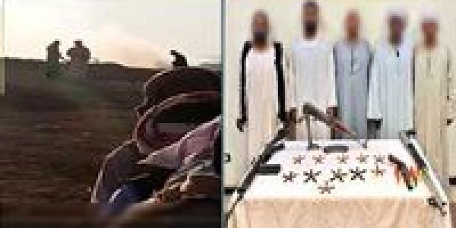 الخناقة على أرض ملك الدولة.. الداخلية تكشف تفاصيل مشاجرة بالآلي في أسوان