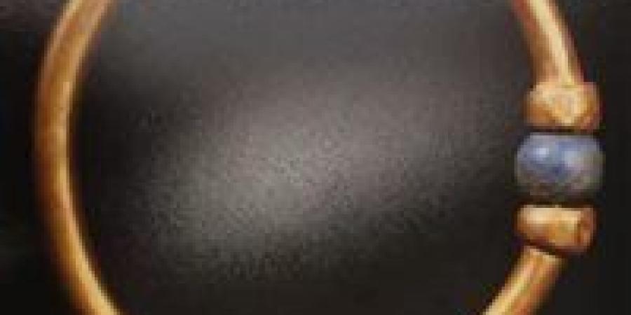 المحكمة تقضي بالسجن المشدد على موظفة ومتهم في سرقة أسورة أثرية بالمتحف المصري