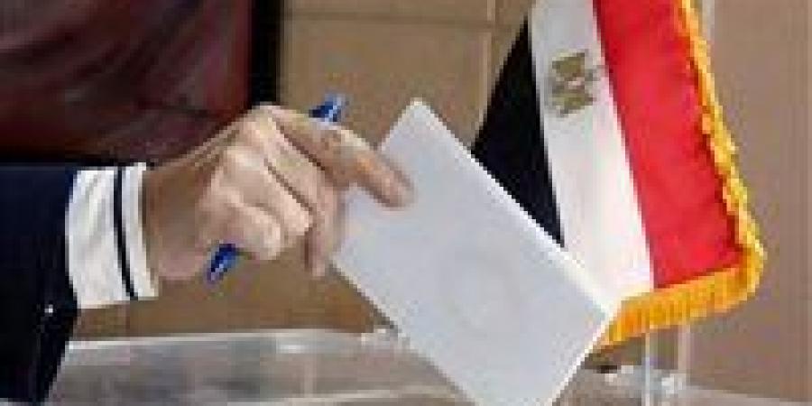 لليوم الثاني.. السفارات المصرية في 4 دول تواصل فتح لجان التصويت
