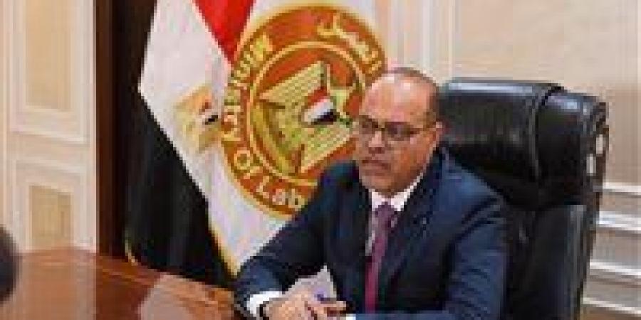 وزارة العمل تعلن عن فرص عمل جديدة بمشروع الضبعة النووية بالتعاون مع شركة «نيكيمت»