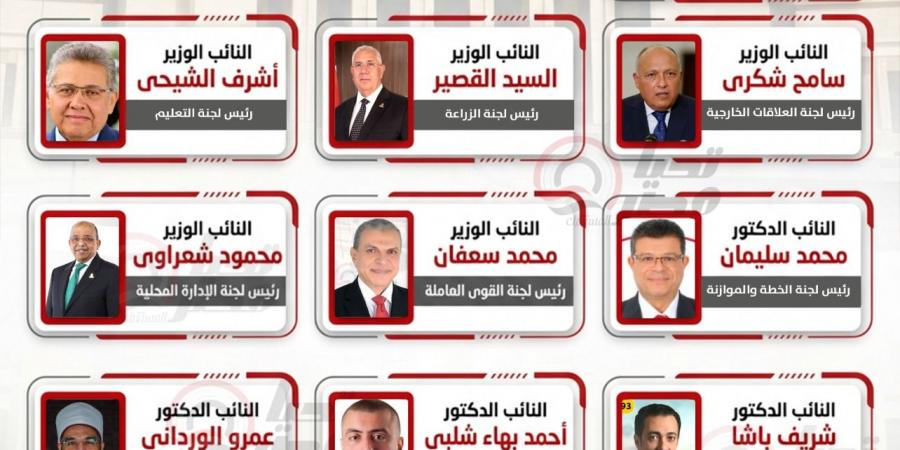 تحيا مصر ينشر أسماء رؤساء اللجان النوعية بالبرلمان التى تم التوافق عليها بشكل نهائى