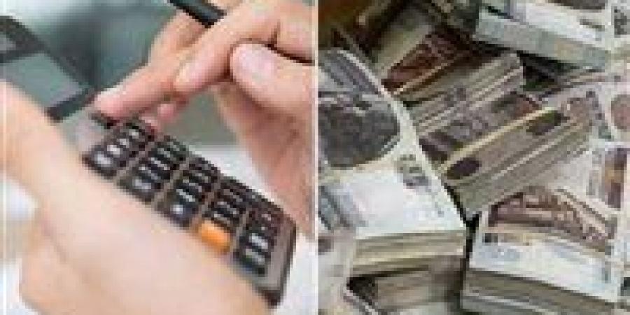 استاذ اقتصاد: صفقات استثمارية كبرى تعزز قدرة مصر على الوفاء بالتزاماتها