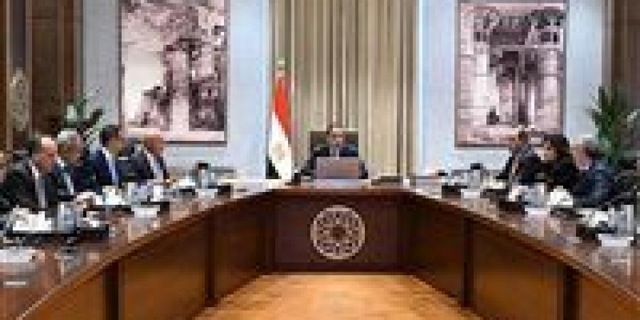 رئيس الوزراء يبحث فرص توطين صناعة السيارات وزيادة تنافسية المناطق الحرة