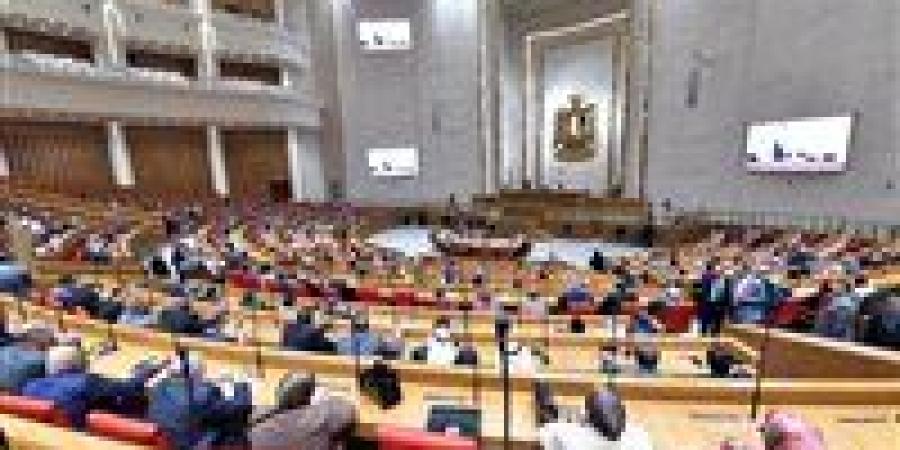 الأطفال والسوشيال ميديا.. البرلمان يفتش عن التجربة الدولية الأنسب ونواب يتحدثون لـ تحيا مصر