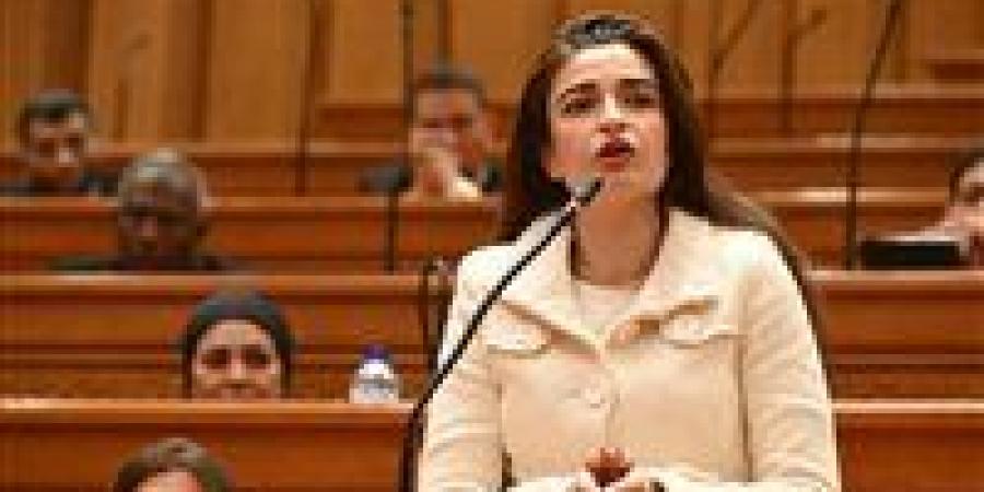 اشتراطات ظالمة.. تحرك جديد بالبرلمان بسبب أزمة سيارات ذوي الإعاقة