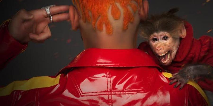 قرد وشعر برتقالي.. شاهد البوستر التشويقي لـ برنامج رامز جلال في رمضان 2026| صورة