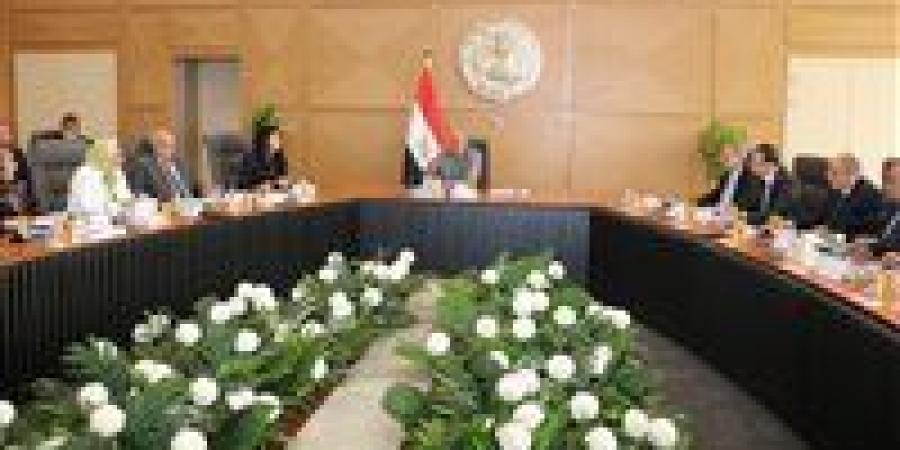 الكهرباء: إتاحة الكهرباء بجودة واستمرارية واستقرار …وتنفيذ مشروعات دعم وتطوير وتحديث