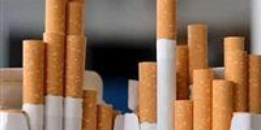 ارتفاع أسعار السجائر في مصر.. شعبة الدخان توضح سبب زيادة 4 جنيهات للعبوة