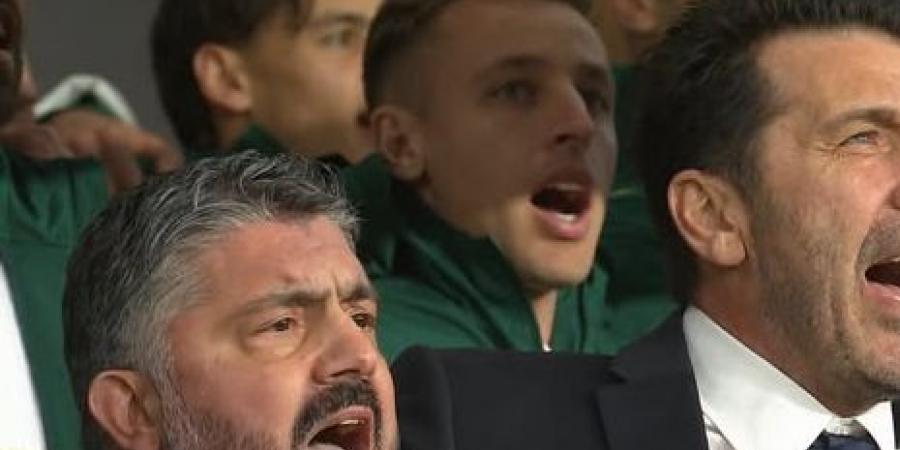 إيطاليا ضد أيرلندا الشمالية.. ملخص اهداف ونتيجة مباراة منتخب إيطاليا وأيرلندا الشمالية في ملحق كأس العالم 2026