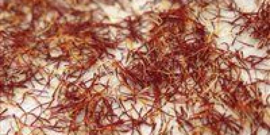 حروب الذهب الأحمر.. أزمة المضائق تهز عروش الزعفران الإيراني