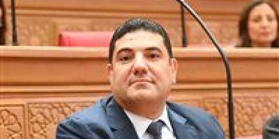 أحمد عبد المجيد: توجيهات الرئيس السيسي للحكومة ترسم مسارًا واضحًا لتعزيز الاقتصاد وتحقيق الاستقرار