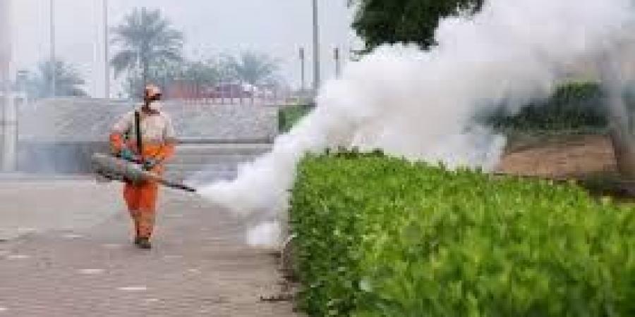 الشارقة.. إرشادات لمكافحة البعوض خلال موسم الأمطار