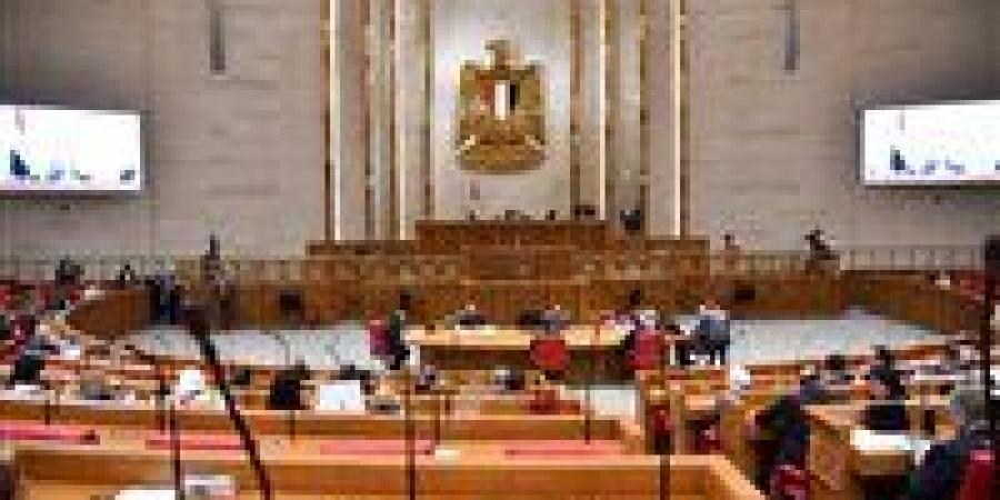 حصاد البرلمان..أسبوع مكثف من العمل البرلماني لمجلس النواب على المستوى التشريعي والرقابي والدبلوماسي