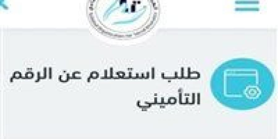 خطوات استخراج برنت تأمينات.. والاستعلام عن الرقم التأميني إلكترونيًا بسهولة عبر الهاتف والإنترنت