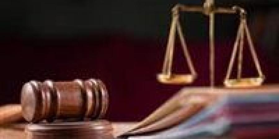 13 يونيو.. النطق بالحكم في قضية “خلية حلوان”