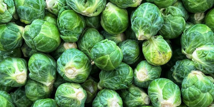 كرنب بروكسل.. لماذا يختلف عن الملفوف؟