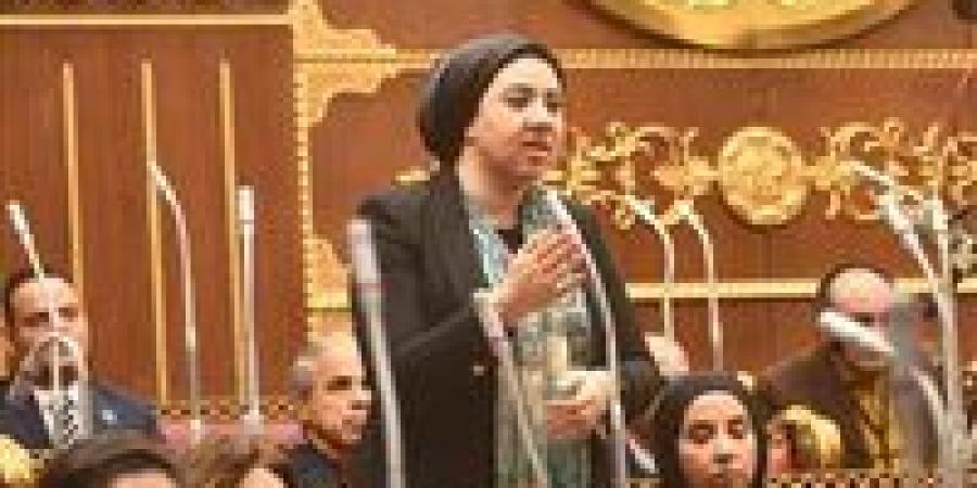 رئيس مجلس الشيوخ يهنئ النائبة أميرة صابر بانتخابها في المحافل الدولية