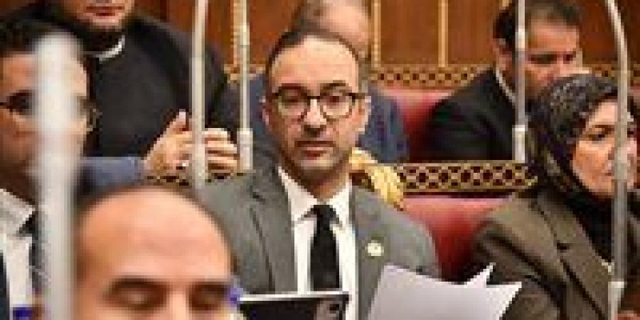 الحمامصي: قانون حماية المنافسة نقلة نوعية للاقتصاد.. ويعزز ثقة المستثمرين في السوق المصري