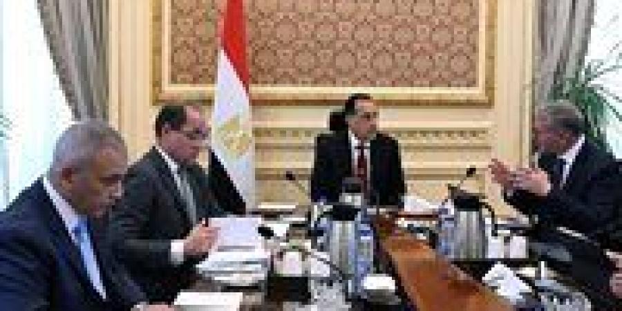 رئيس الوزراء يتابع مع وزيرى المالية والبترول عددًا من ملفات العمل المشترك