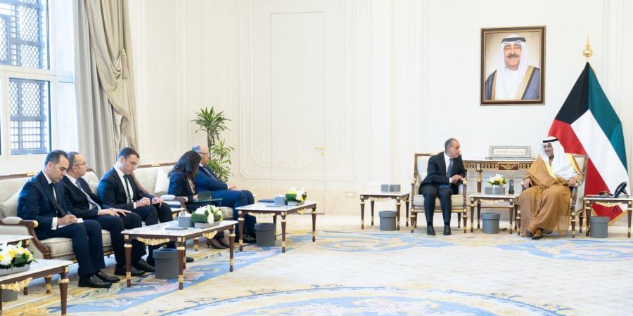 وزير الخارجية: أمن الكويت والخليج العربي هو امتداد للأمن القومي المصري