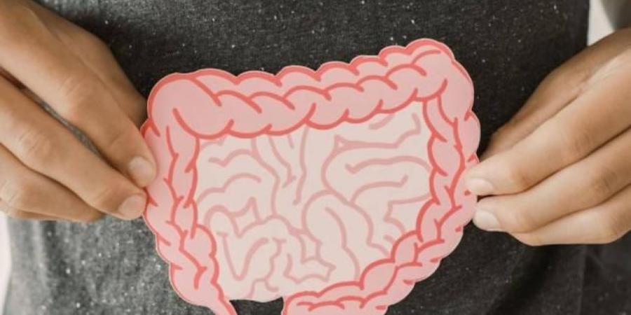 المضادات الحيوية قد تدمر أمعاءك لسنوات.. كيف تحمي صحة الجهاز الهضمي؟