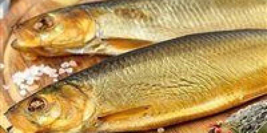 قبل الاحتفال بشم النسيم.. ضبط مصنع داخله 8 أطنان رنجة فاسدة بدون ترخيص