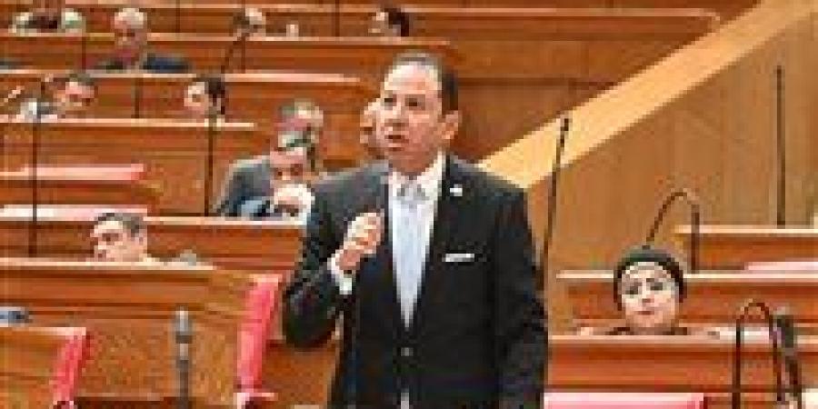 النائب حسن عمار لـ تحيا مصر: الفترة المقبلة ستشهد انخفاض كبير في سعر الدولار وأسعار السلع ستنخفض تدريجيا