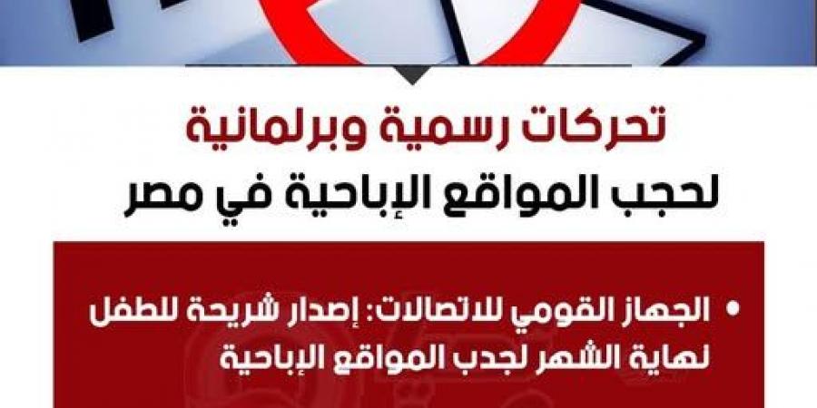 تحركات رسمية وبرلمانية لحجب المواقع الإباحية في مصر