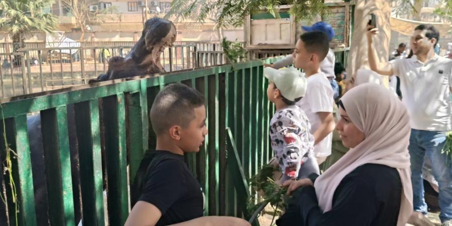 إقبال متوسط على حديقة الحيوان بالفيوم في شم النسيم.. وأجواء عائلية هادئة بعيدًا عن الزحام