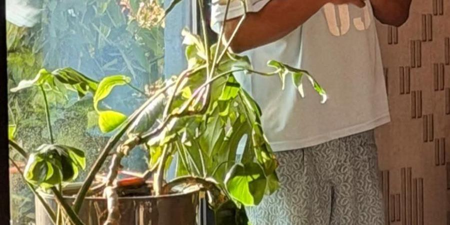 محمد رمضان: مفيش حاجة تستاهل إنك تهمل صلاتك عشانها