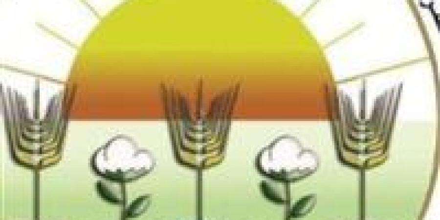 "وزارة الزراعة تحذر: إعلانات السوشيال تضلل المواطنين.. ومنافذنا الرسمية فقط داخل الجهات الحكومية"