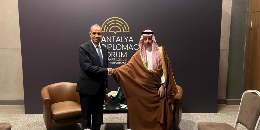 وزير الخارجية: المساس بسيادة السعودية والدول الخليجية مساساً مباشراً بالأمن القومي المصري والعربي