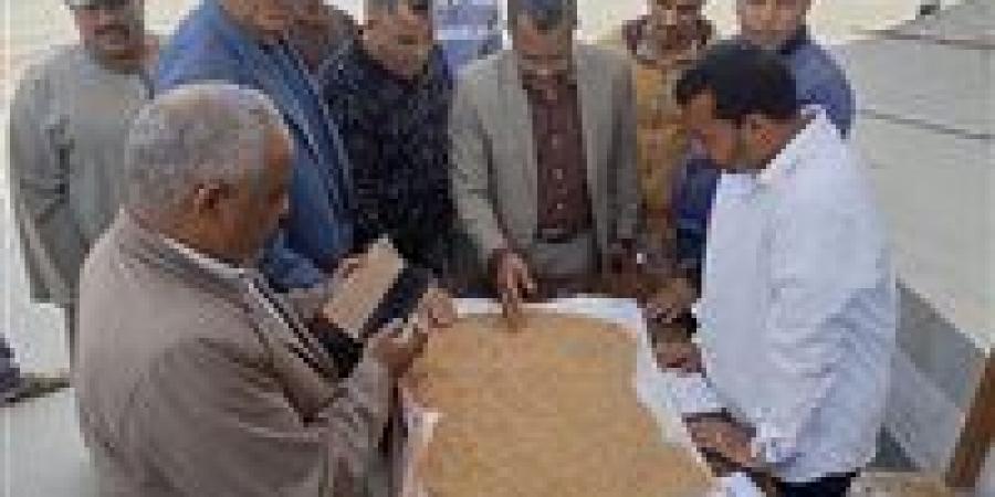 محافظ المنيا يعلن استلام أكثر من 9 ألف طن قمح في مستهل موسم حصاد 2026