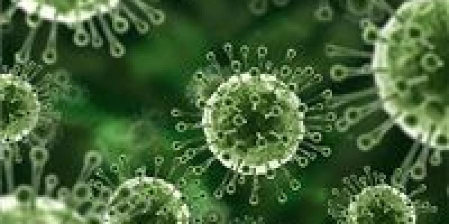 اختراق علمي جديد قد يوقف فيروسا يصيب 95% من البشر