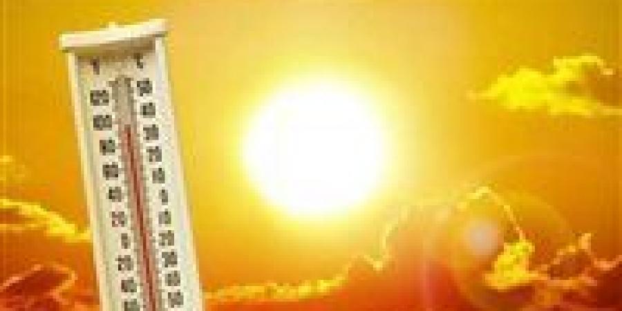 الطقس اليوم الخميس في مصر.. ارتفاع طفيف و«الشبورة» تحذر السائقين صباحًا