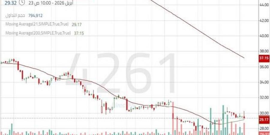 سهم "ذيب" يتحرك في اتجاه هابط رئيسي مع استمرار الضغوط البيعية