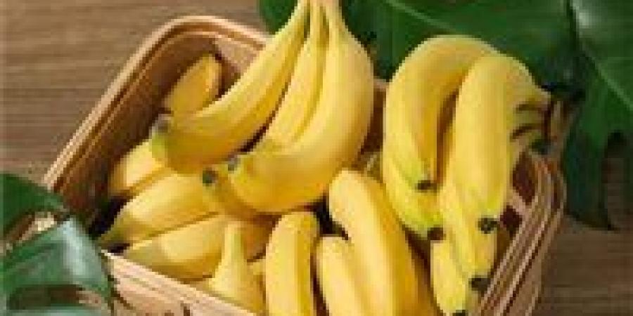 طرق سريعة وفعالة للتخلص من ذباب الفاكهة داخل المنزل نهائيًا