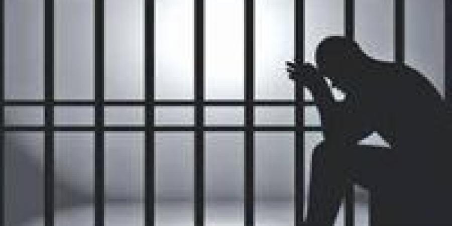 “بلطجة بالقناطر”.. إطلاق نار وتحطيم كاميرات وضبط متهم بسلاح ناري