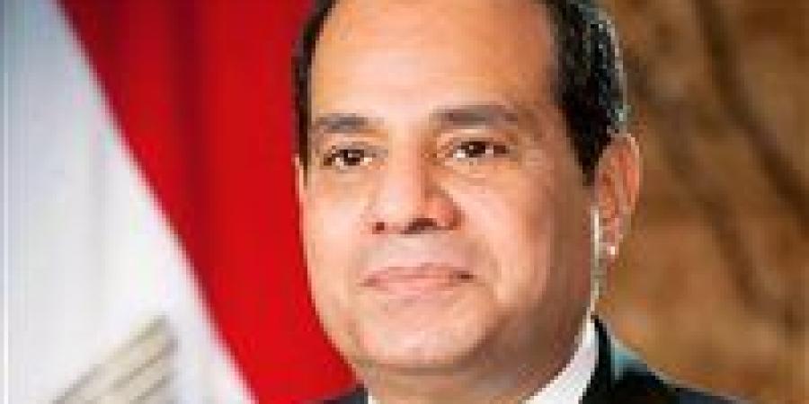 السيسي وباتروشيف.. رسائل استراتيجية تضبط إيقاع الملاحة والسياسة