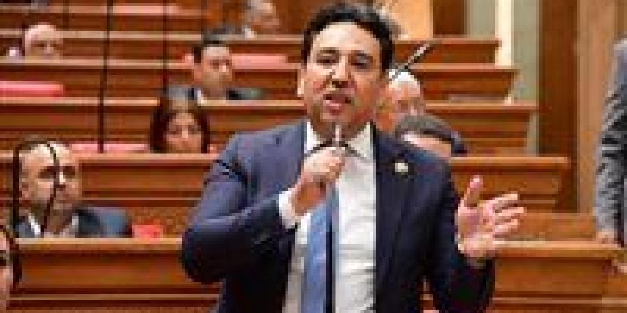 وكيل اقتصادية النواب: التحركات المصرية تعكس دورا محوريا في قيادة جهود التهدئة وخفض التصعيد بالمنطقة