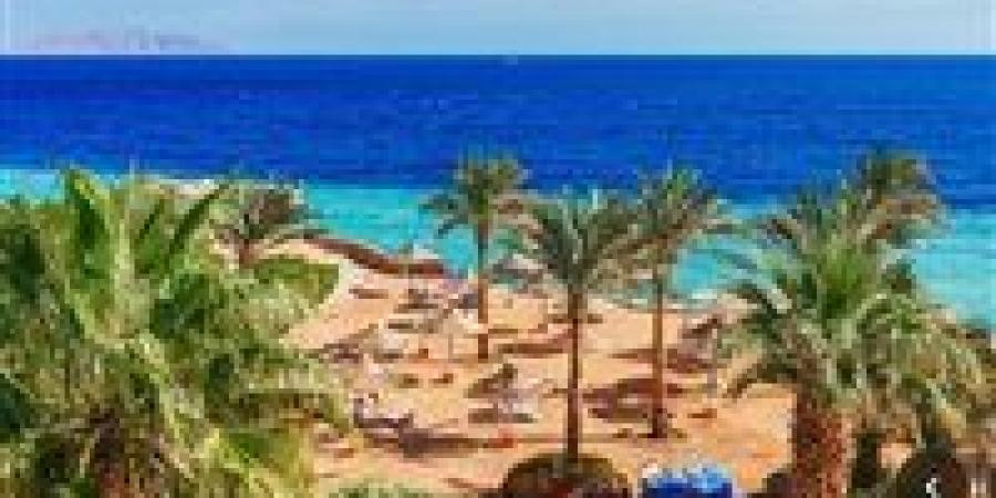 جرين شرم.. مشروع تحويل شرم الشيخ لأكبر مدينة خضراء في مصر