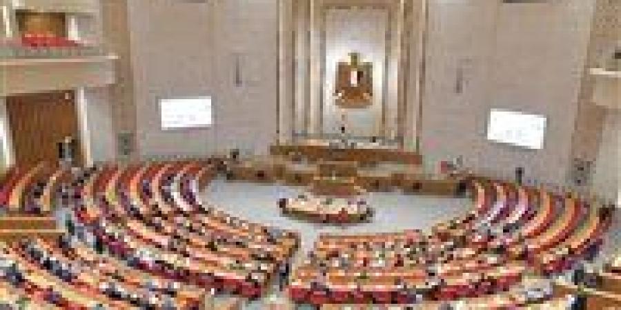 البرلمان يعقد أول جلسة استماع للتصدي لملف الأسرة المصرية.. اليوم