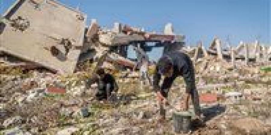 دراسة دولية: تضرر 96% من الأراضي الزراعية في قطاع غزة بسبب الحرب