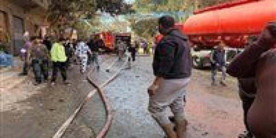 الحماية المدنية تسيطر على حريق أشجار خلف مبنى محافظة الجيزة